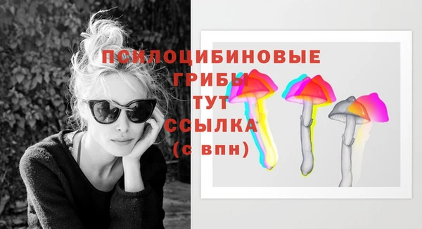 ПСИЛОЦИБИНОВЫЕ ГРИБЫ Абаза
