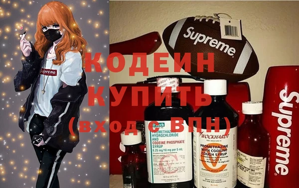 ПСИЛОЦИБИНОВЫЕ ГРИБЫ Абаза